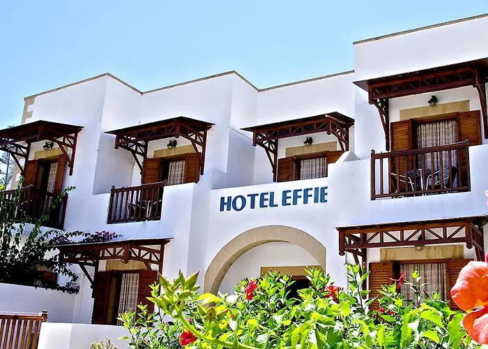 Effie 2*
